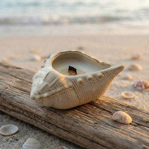 Ceramic Conch Candle Holder